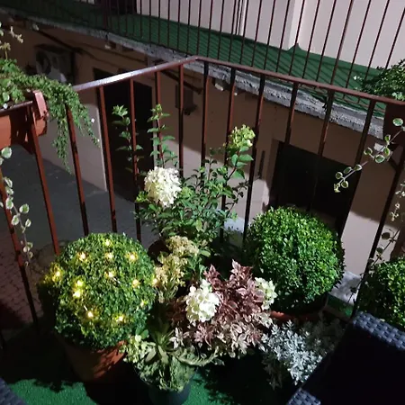 Готель Center Contrabas Львів