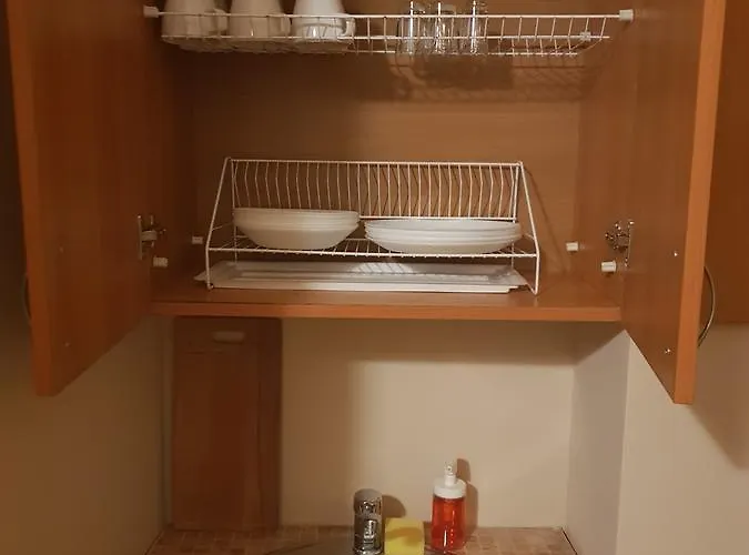 Center Contrabas ホテル 3*